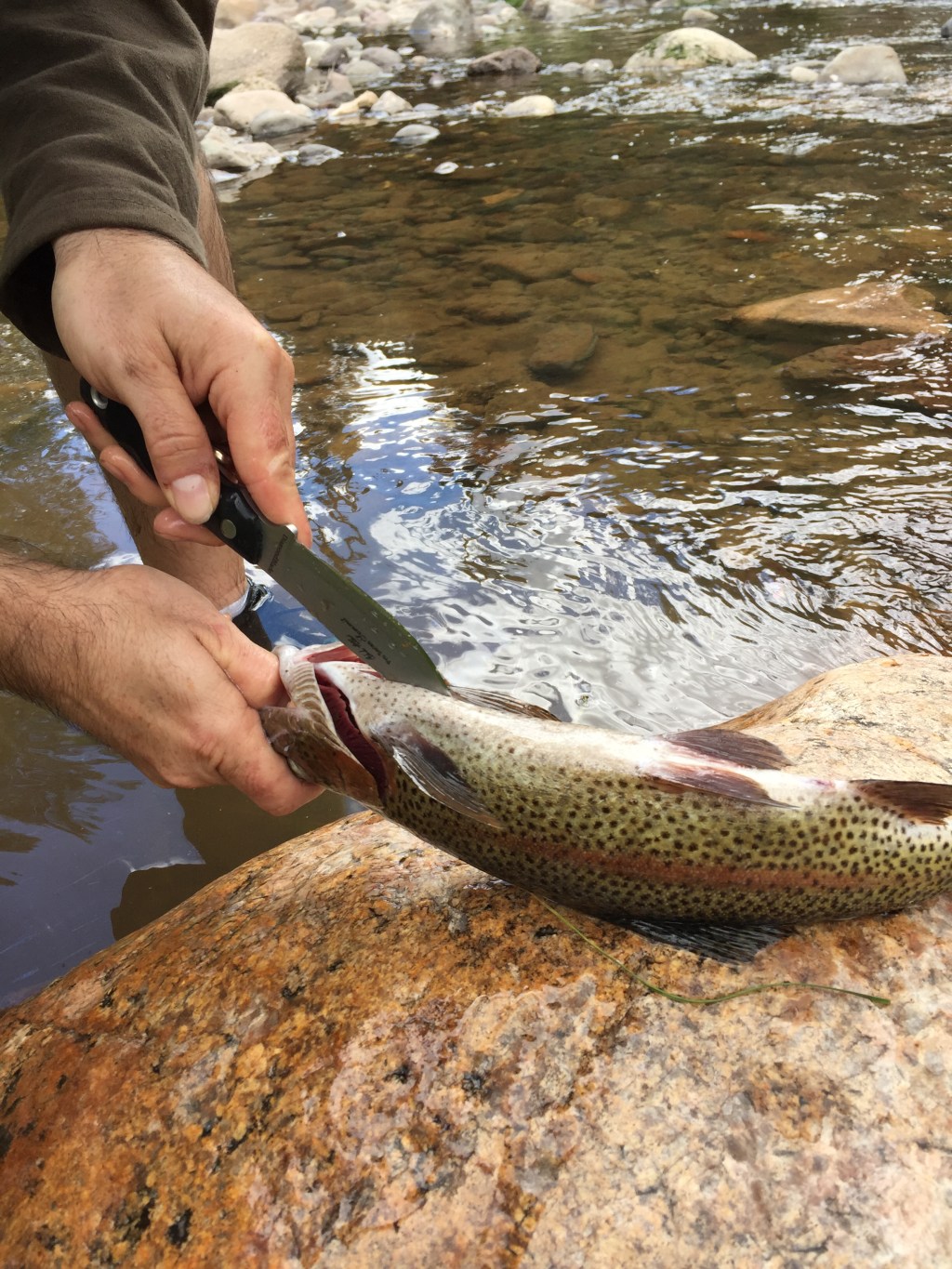 DiamondBlade Knives: A Hunter’s Best Friend