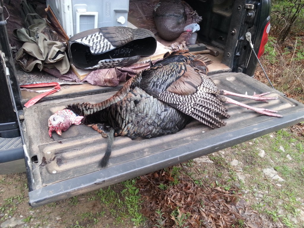 Talking Turkey