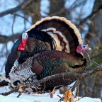 Because Stories Are Meant To Be Shared: Andy Brazle