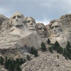 Under Teddy’s Gaze