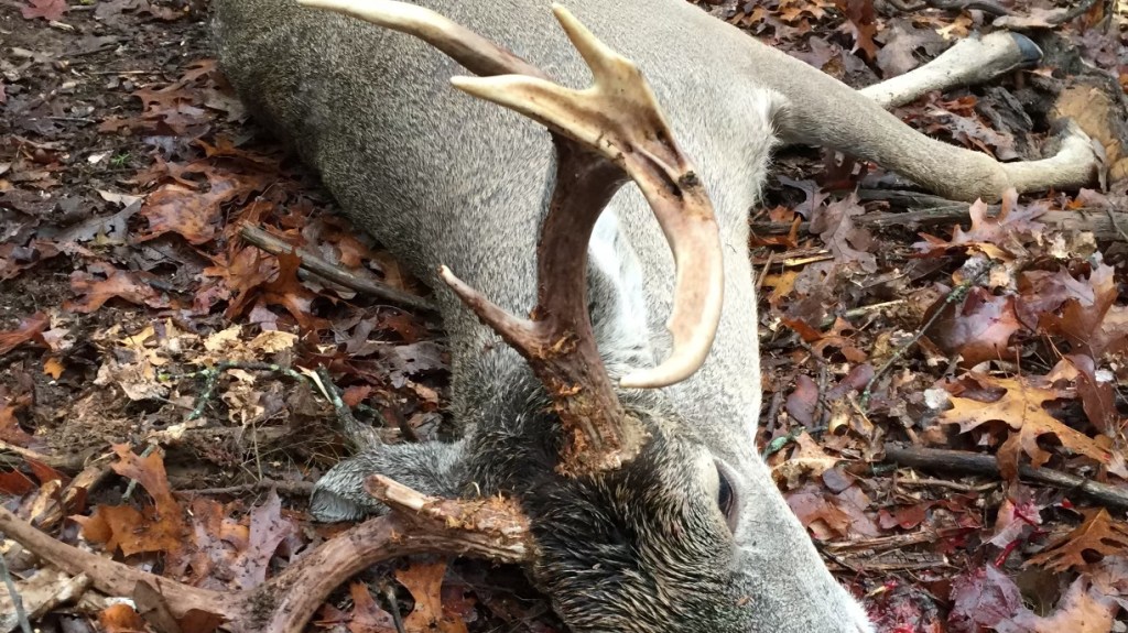 Bucks That Broke The&nbsp;Mold
