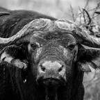 The Peril of a Pit Stop