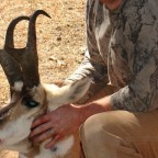 A Miracle Shy of Sainthood