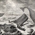 The Delicate Question